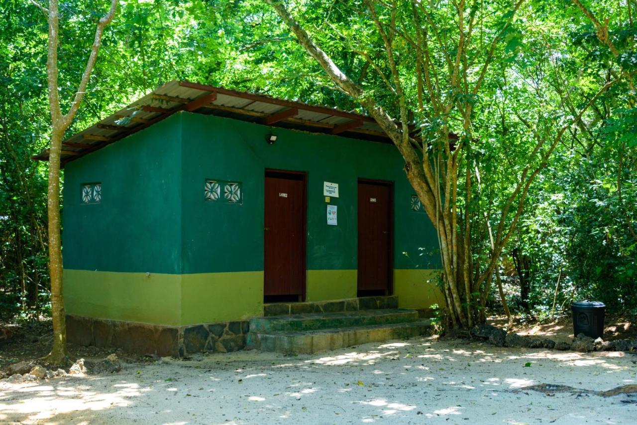 Firefly Eco Retreat Villa Shimoni Ngoại thất bức ảnh